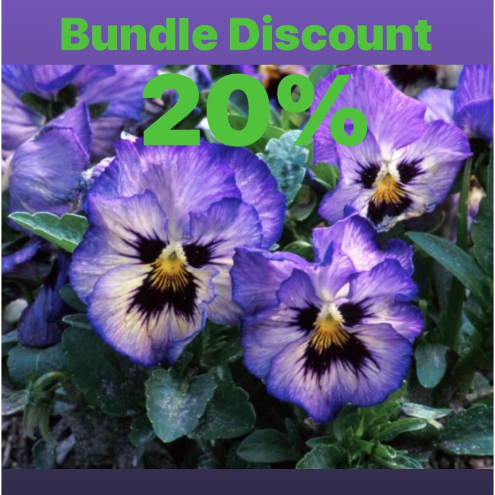 Bundle Discount